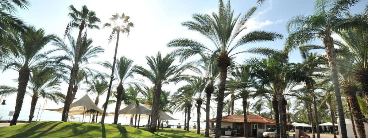 طبريا Kings Towers Blue Beach المظهر الخارجي الصورة